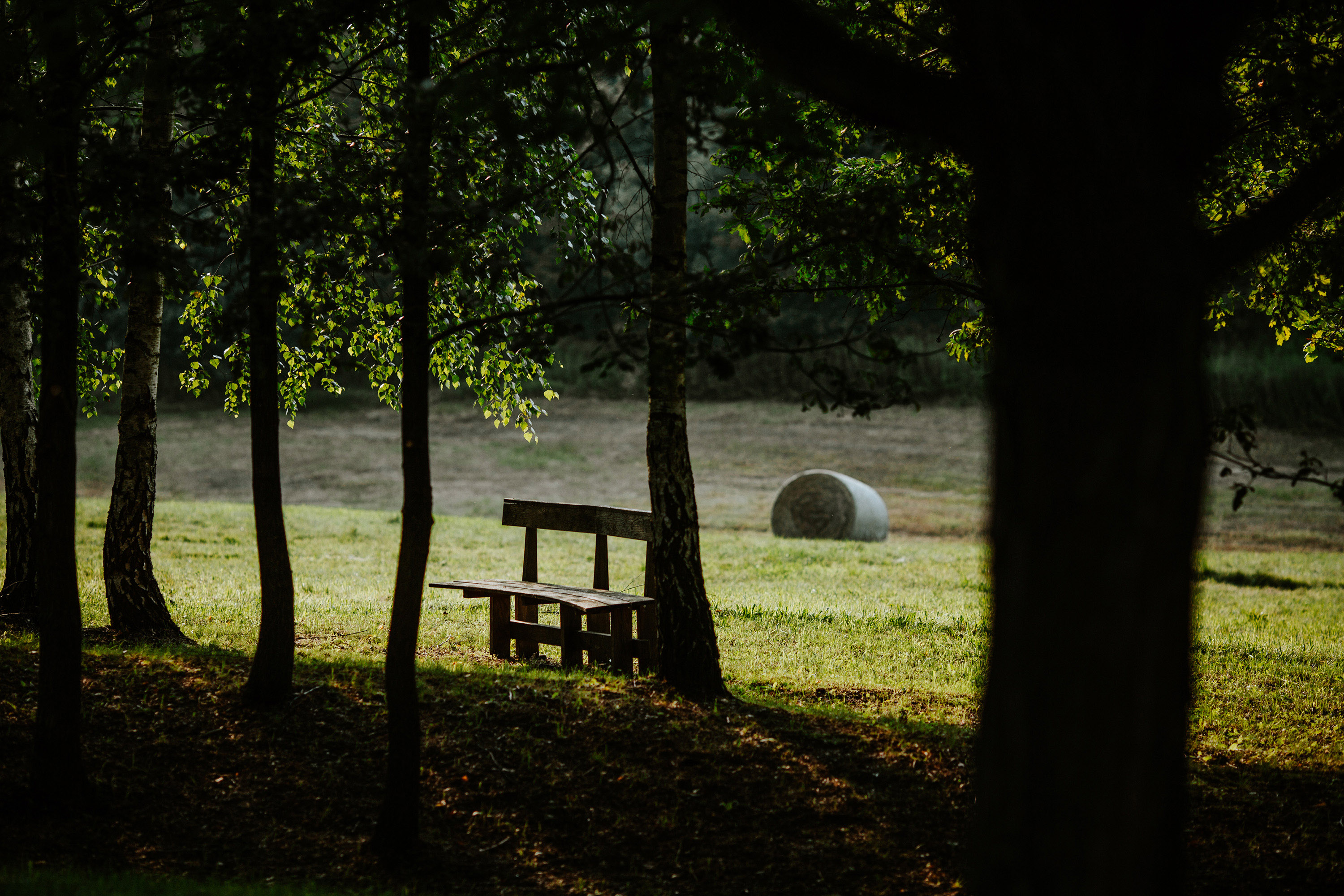 A quiet bench in the Őrség forest